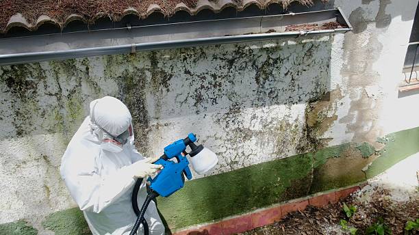 Top rated local Mold Remediation specialists in Worthington Hills, KY